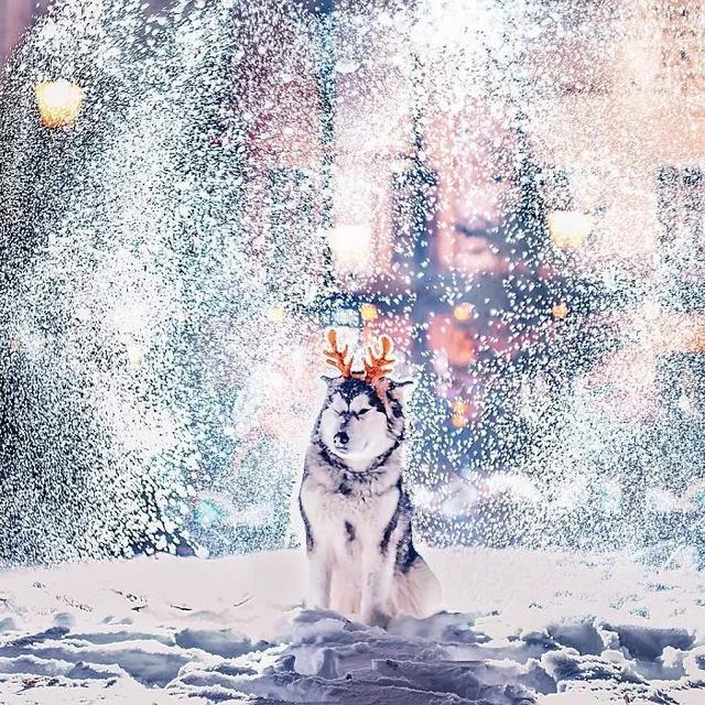 同樣是拍雪，這就是攝影師和普通人的差別！