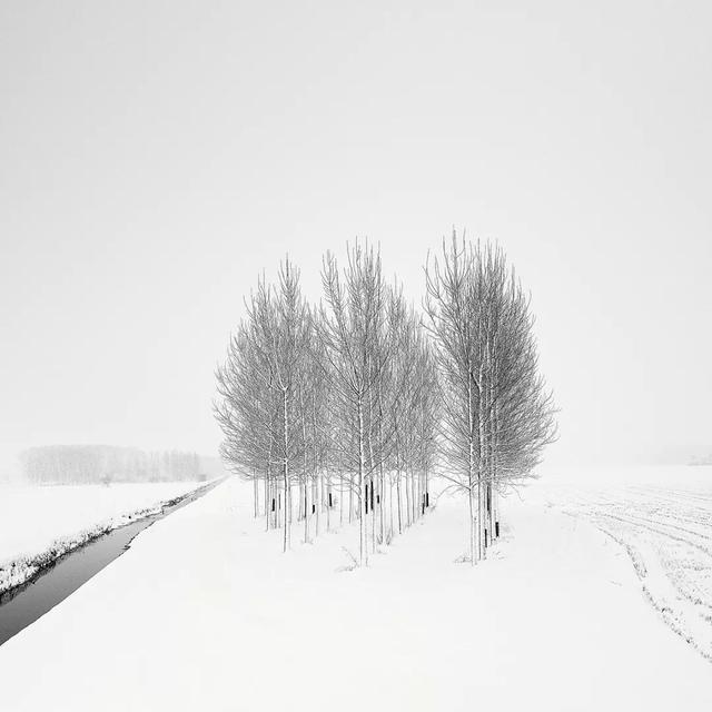 同樣是拍雪，這就是攝影師和普通人的差別！