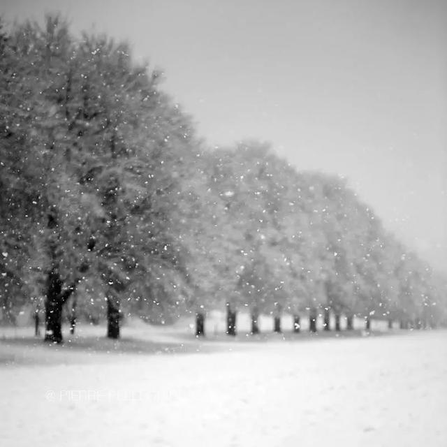 同樣是拍雪，這就是攝影師和普通人的差別！