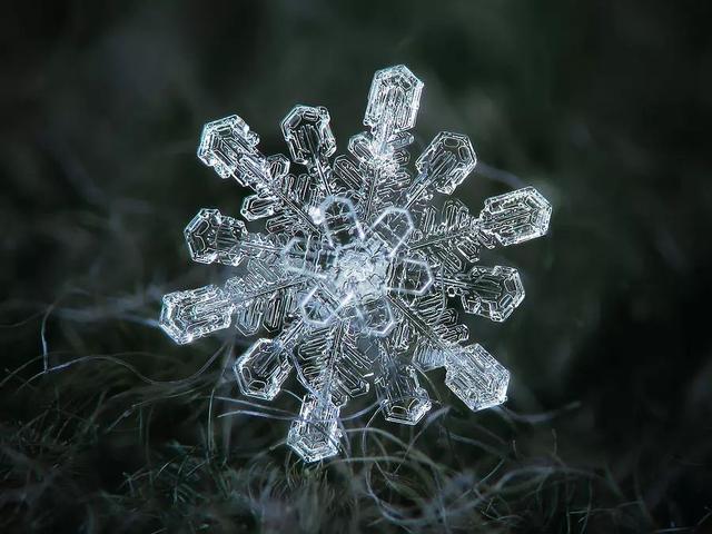 同樣是拍雪，這就是攝影師和普通人的差別！