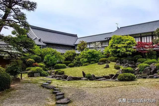 遇見日本最美的＂櫻吹雪＂，2019櫻花全面開放