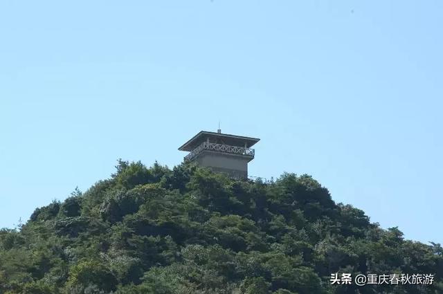遇見日本最美的＂櫻吹雪＂，2019櫻花全面開放