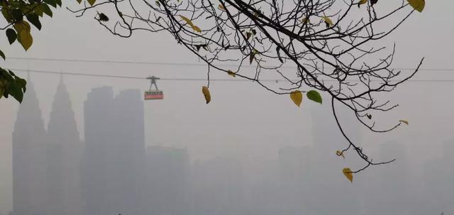 不懂相機設置，手機拍照都比你好，快來學幾招！