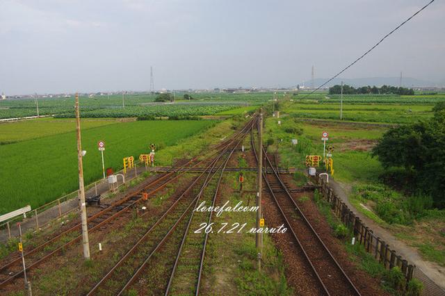 日本旅遊攻略丨四國秘境之旅，從坐火車開始