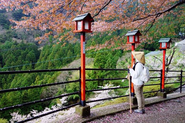 日本旅遊攻略丨四國秘境之旅，從坐火車開始