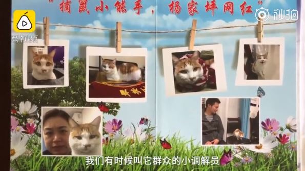 王牌公務員「抓老鼠＋幫民眾調解」　業績超好「編進員工手冊」：想當同事～