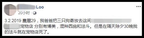 愛犬送去寵物店一天就死了 店主反要將狗主人列入黑名單？！