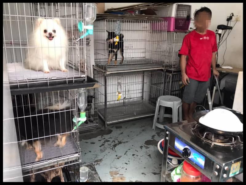 愛犬送去寵物店一天就死了 店主反要將狗主人列入黑名單？！