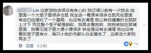 愛犬送去寵物店一天就死了 店主反要將狗主人列入黑名單？！