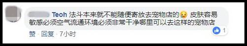 愛犬送去寵物店一天就死了 店主反要將狗主人列入黑名單？！