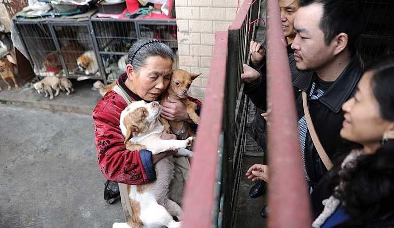 六旬老人不顧家人反對，收養兩百條流浪貓狗，15年花光一生積蓄