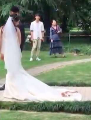 找到超棒的小床啦～　小橘貓「好奇跳婚紗」翻滾　新娘笑著一路拖走