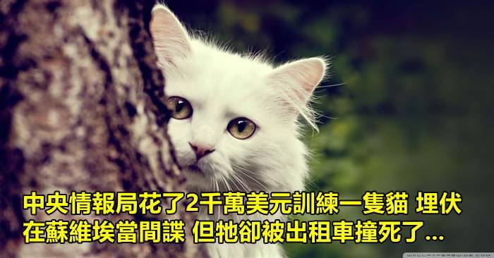 15個會讓你覺得你對這個世界還不夠了解的冷知識