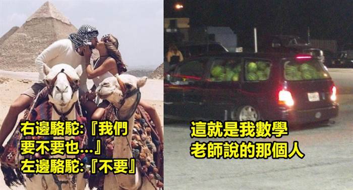 16張會讓你會心一笑的「幽默梗圖」！