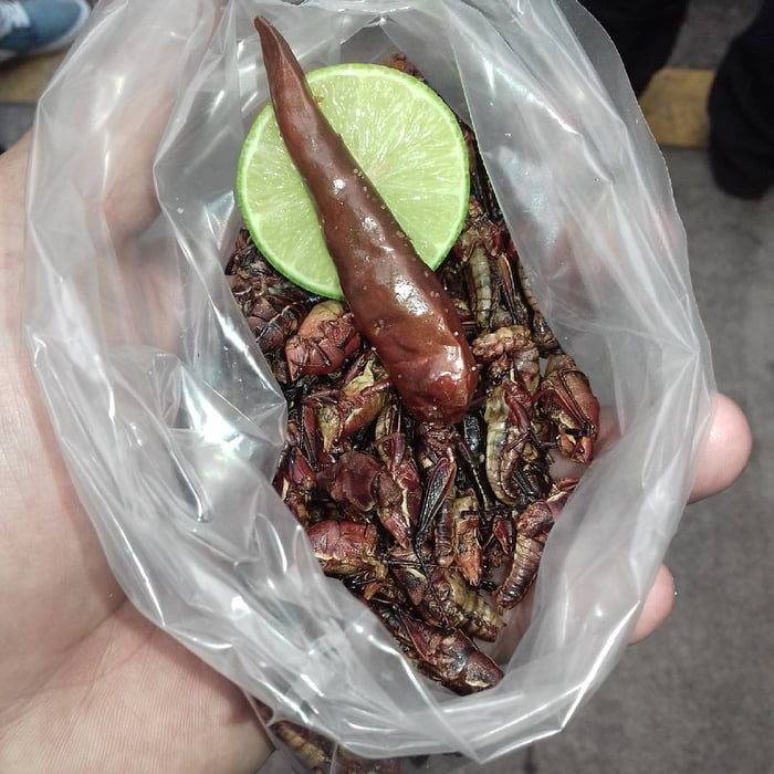 15個「失敗到可以得獎」的超悲劇爆笑料理！