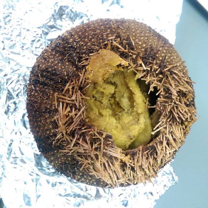 15個「失敗到可以得獎」的超悲劇爆笑料理！