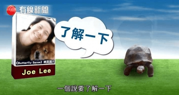 記者測試5位自稱「可和動物溝通」的大師，等他們講完公布「這是玩具龜」！網友：廢到笑！ 