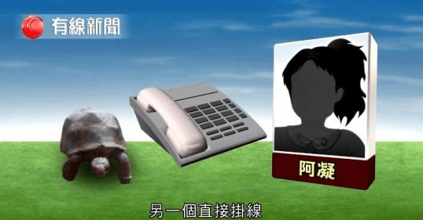 記者測試5位自稱「可和動物溝通」的大師，等他們講完公布「這是玩具龜」！網友：廢到笑！ 