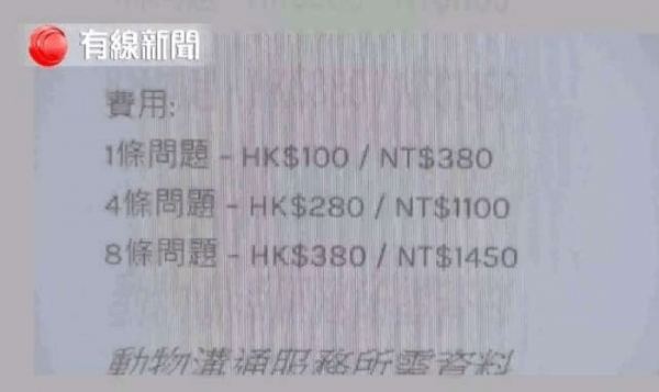記者測試5位自稱「可和動物溝通」的大師，等他們講完公布「這是玩具龜」！網友：廢到笑！ 