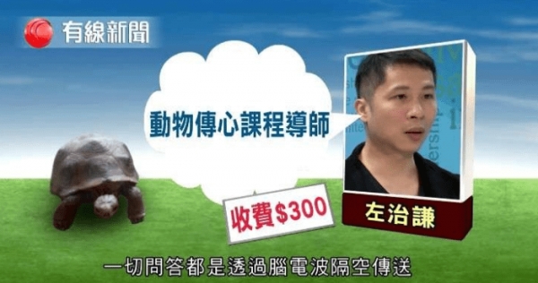 記者測試5位自稱「可和動物溝通」的大師，等他們講完公布「這是玩具龜」！網友：廢到笑！ 