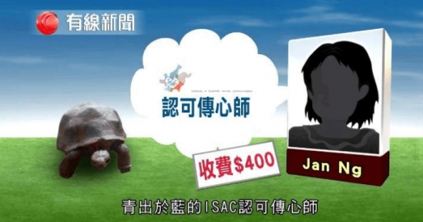 記者測試5位自稱「可和動物溝通」的大師，等他們講完公布「這是玩具龜」！網友：廢到笑！ 