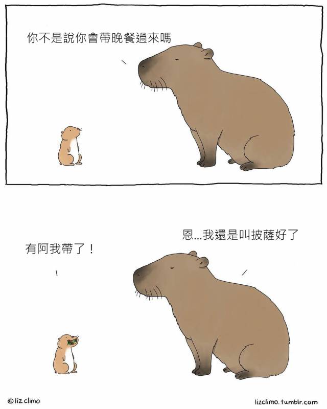 17張「如果動物會講話」的超療癒插畫！#8 老師隨堂考「變色龍成功和椅子融為一體」：我很強吧