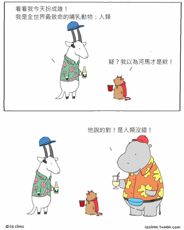 17張「如果動物會講話」的超療癒插畫！#8 老師隨堂考「變色龍成功和椅子融為一體」：我很強吧