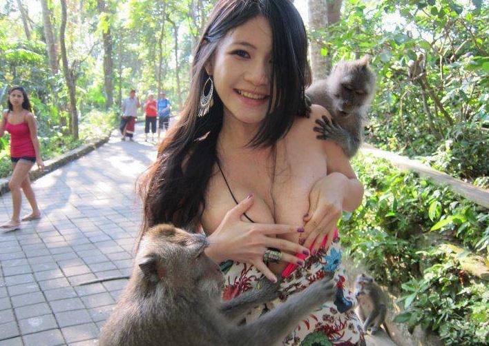 牠們根本不把人類「放在眼裡啊」！７張超狂動物照，拜託不要「放棄治療」好嘛！？