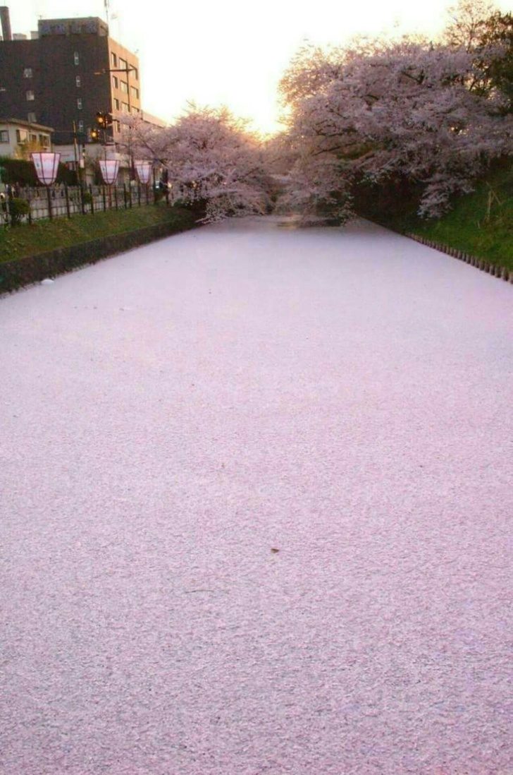 18張「完全沒有用PS修過」的神奇照片　低頭走路卻發現腳下是「龍的皮膚」！