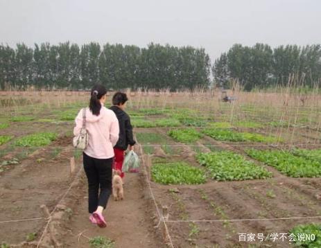 我打工兩年，回家見妻子走路樣子奇怪，鄰居無意說漏嘴，我報了警