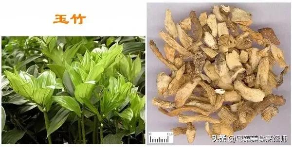 幾種煲湯藥材功效圖解