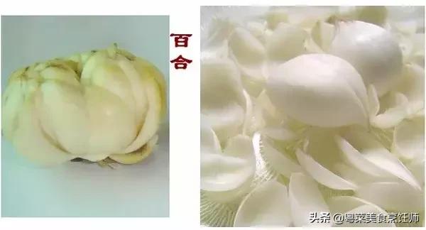 幾種煲湯藥材功效圖解