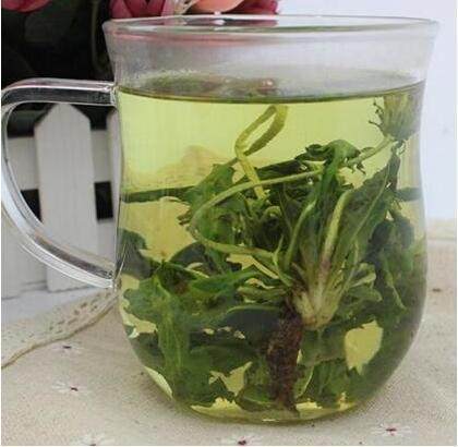 常抽菸的人每天喝一杯，能清除肺部80%的垃圾毒素！專家稱它是肺部「清道夫」