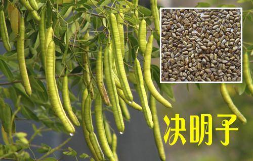 那些常見的「中草藥」，不要再把它當成雜草拔掉了