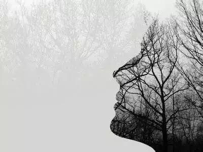 人怕傷心，樹怕傷根；人心換人心，換不來就轉身！（精闢）