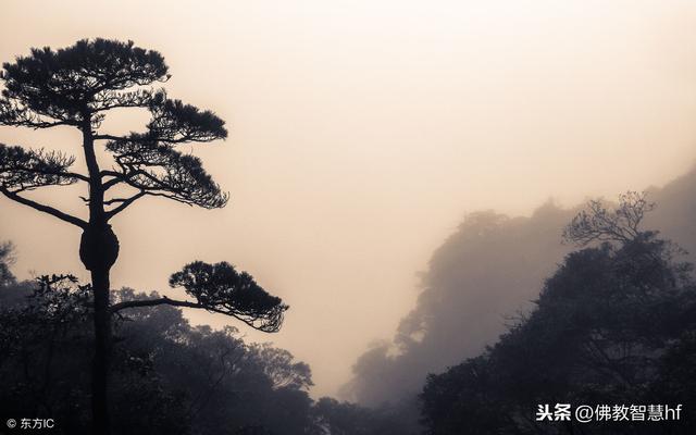 相處之道，救急不救窮，別慣壞,不懂感恩的人