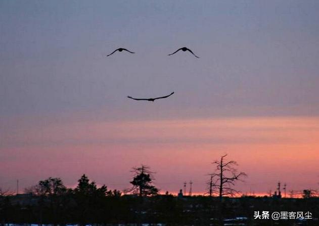 笑而不語，是因為看開了