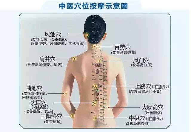 一套「穴位保健操」，它集養生、健身……於一體，調節人體陰陽平衡