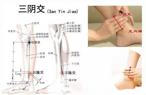 好睡眠的最佳補品，穴位養生法學起來！