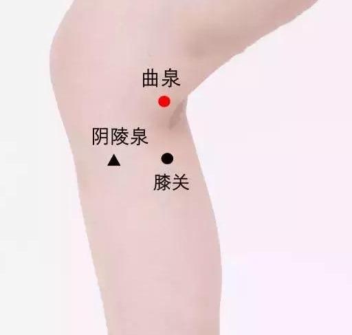 春主生髮，應肝，是艾灸養肝、調理肝火旺的大好時機！