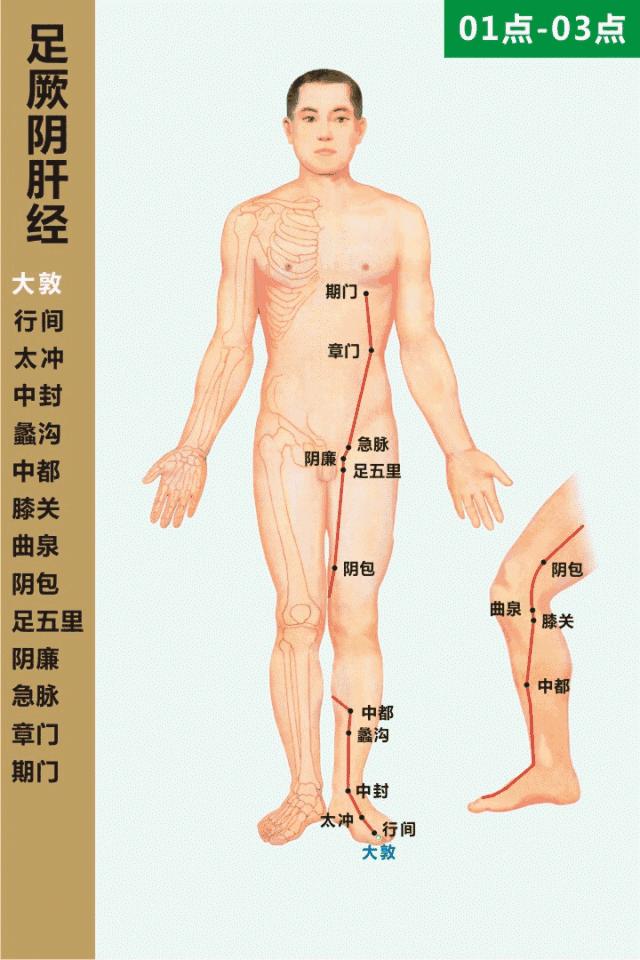 春主生髮，應肝，是艾灸養肝、調理肝火旺的大好時機！