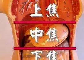 三焦經：女人的養生經！打通它，婦科病、慢性病好得快！