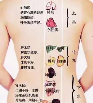 三焦經：女人的養生經！打通它，婦科病、慢性病好得快！