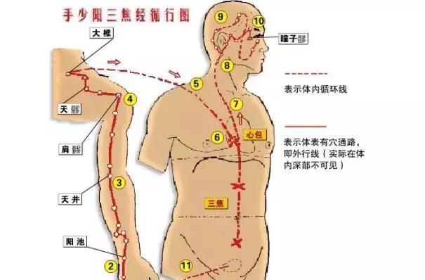 三焦經：女人的養生經！打通它，婦科病、慢性病好得快！