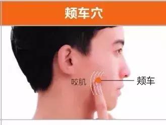 足陽明胃經45個針灸穴位圖，高清穴位圖解！收了吧！