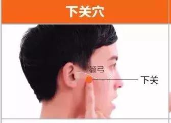 足陽明胃經45個針灸穴位圖，高清穴位圖解！收了吧！