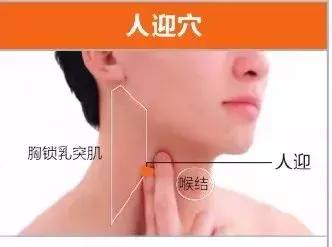 足陽明胃經45個針灸穴位圖，高清穴位圖解！收了吧！