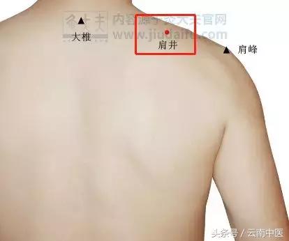 春三月，經絡堵！一個穴位暢通全身之氣……