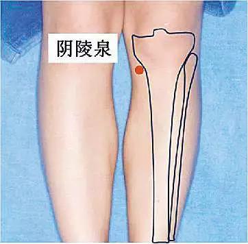 常按兩穴位，健脾又祛濕，原來可以這麼容易！