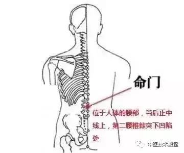 常按兩穴位，健脾又祛濕，原來可以這麼容易！